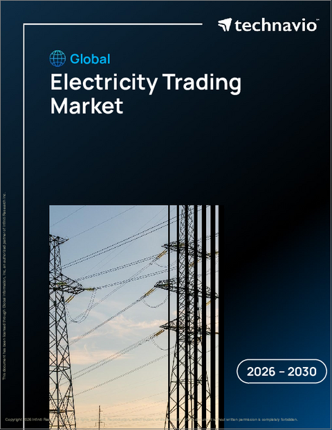 表紙：電力取引の世界市場 2026年～2030年