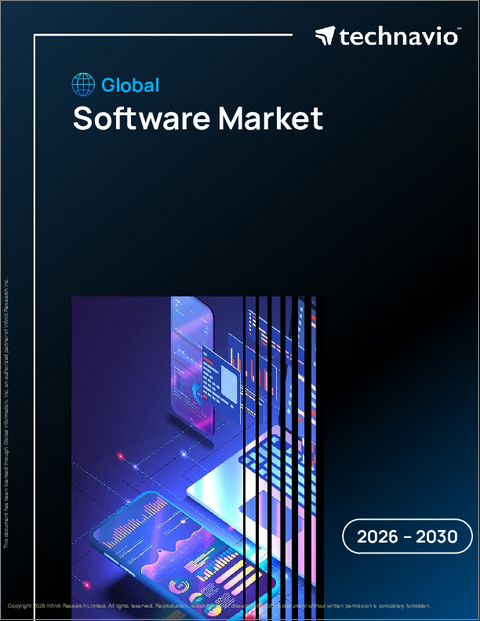 表紙：ソフトウェアの世界市場 2026年～2030年