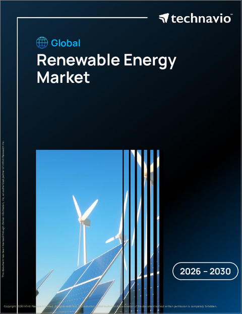 表紙：再生可能エネルギーの世界市場 2026年～2030年
