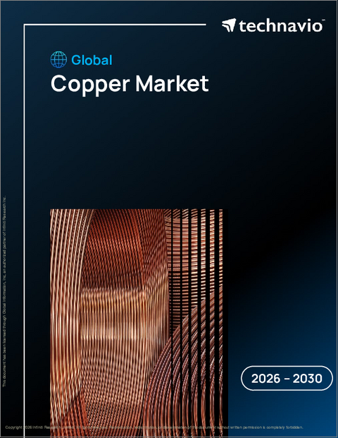 表紙:銅の世界市場 2026年~2030年