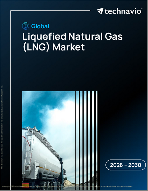表紙：液化天然ガス（LNG）の世界市場 2026年～2030年
