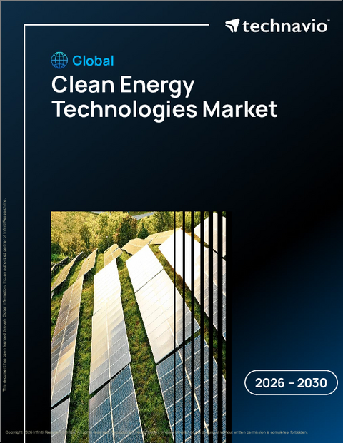 表紙：クリーンエネルギー技術の世界市場 2026年～2030年
