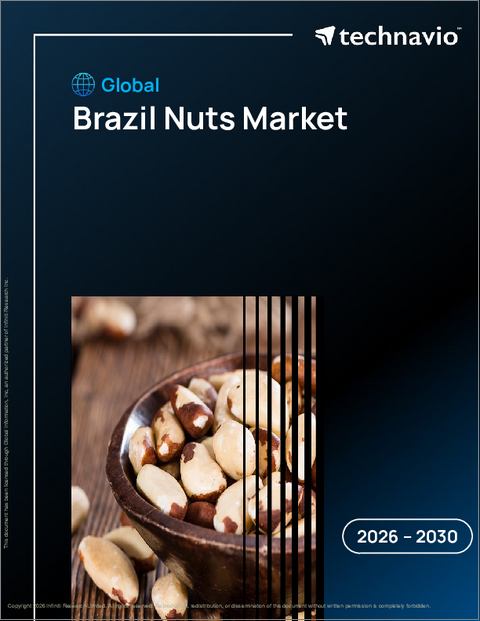 表紙：ブラジルナッツの世界市場 2026年～2030年