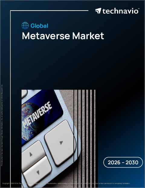 表紙:メタバースの世界市場 2026年~2030年