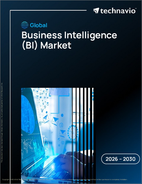 表紙：ビジネスインテリジェンス（BI）の世界市場 2026年～2030年