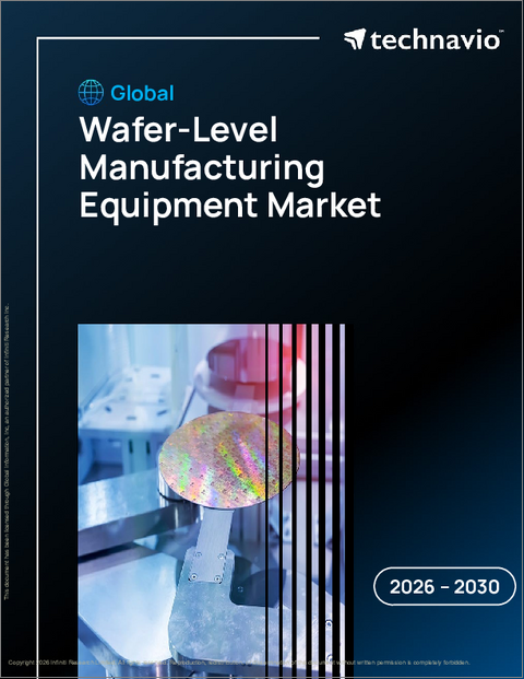 表紙:ウエハーレベル製造装置の世界市場 2026年~2030年