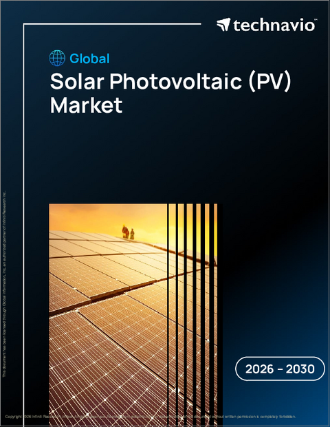 表紙：太陽光発電（PV）の世界市場 2026年～2030年