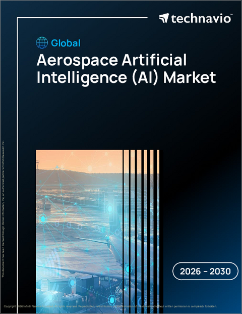 表紙:航空宇宙用人工知能(AI)の世界市場 2026年~2030年