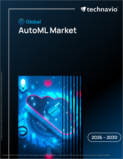 表紙:自動機械学習の世界市場 2026年~2030年