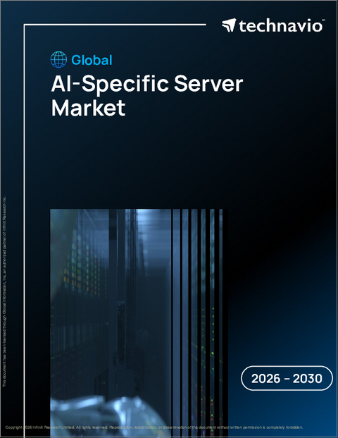 表紙：AI専用サーバーの世界市場 2026年～2030年