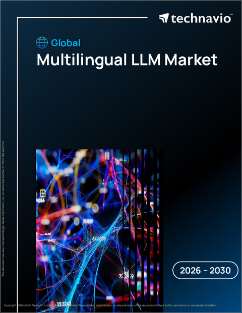 表紙：多言語対応LLMの世界市場 2026年～2030年