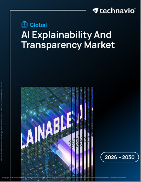 表紙:AIの説明性と透明性の世界市場 2026年~2030年