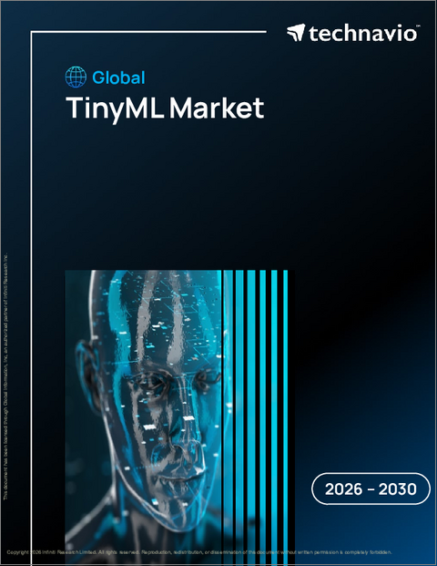 表紙:TinyMLの世界市場 2026年~2030年
