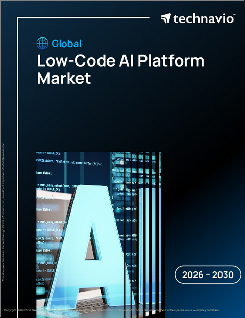 表紙：ローコードAIプラットフォームの世界市場 2026年～2030年