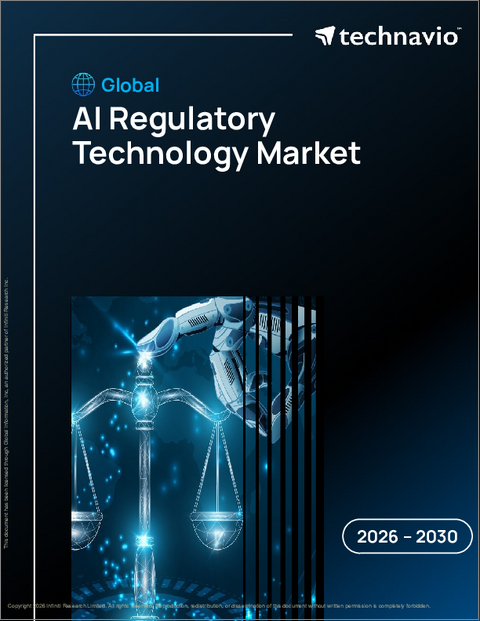 表紙:AI規制技術の世界市場 2026年~2030年