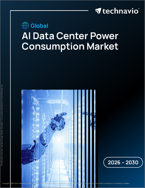 表紙:AIデータセンターの電力消費の世界市場 2026年~2030年