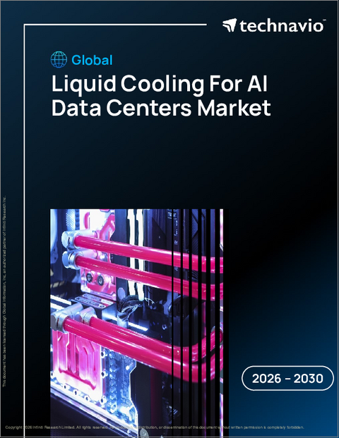 表紙:AIデータセンター用液体冷却の世界市場 2026年~2030年