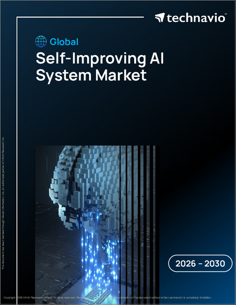表紙：自己改善型AIシステムの世界市場 2026年～2030年