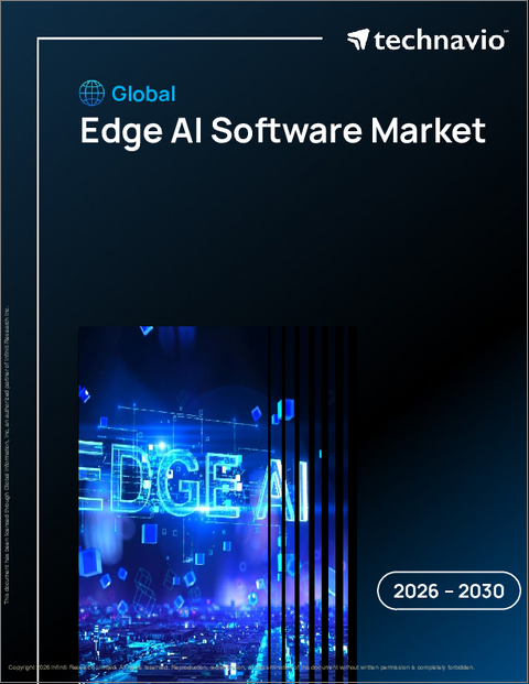 表紙:エッジAIソフトウェアの世界市場 2026年~2030年