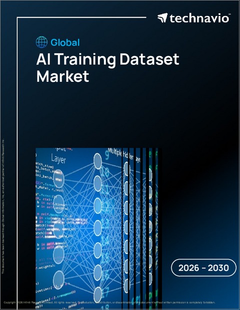 表紙:AIトレーニングデータセットの世界市場 2026年~2030年