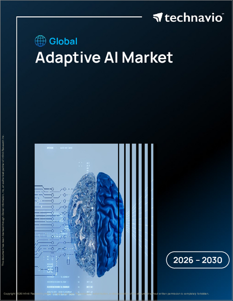表紙：適応型AIの世界市場 2026年～2030年
