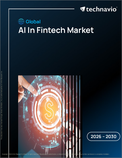 表紙:フィンテックにおけるAIの世界市場 2026年~2030年