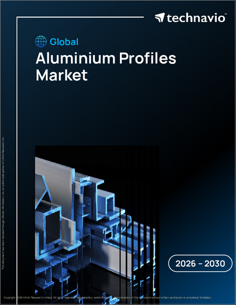 表紙：アルミニウムプロファイルの世界市場 2026年～2030年