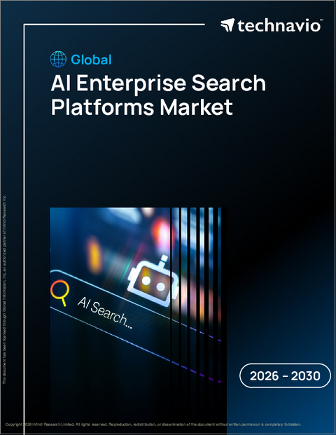 表紙：AI企業検索プラットフォームの世界市場 2026年～2030年