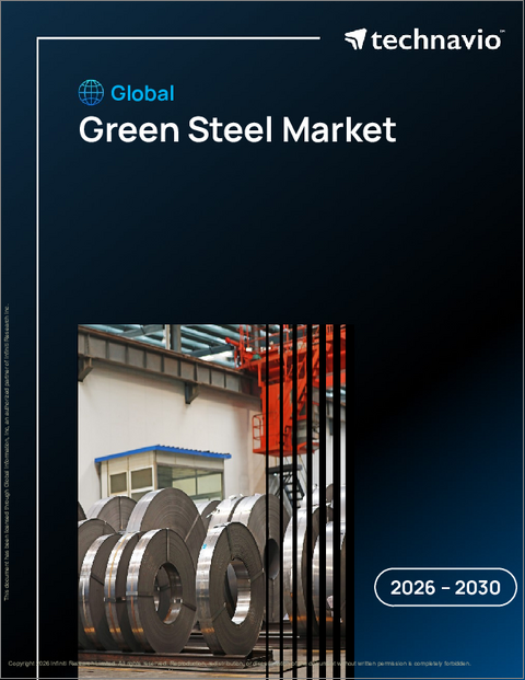 表紙：グリーンスチールの世界市場 2026年～2030年