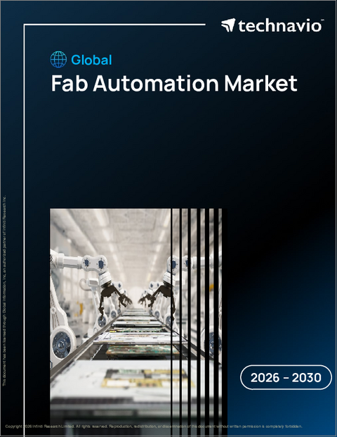 表紙：ファブ自動化の世界市場 2026年～2030年