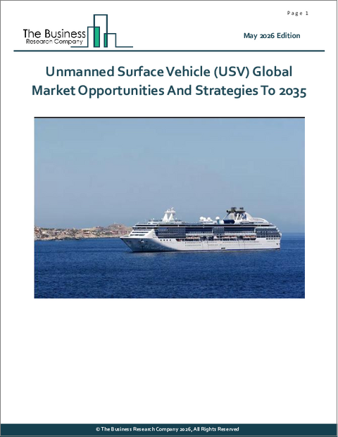 表紙:無人水上機(USV)の世界市場:2035年までの機会と戦略