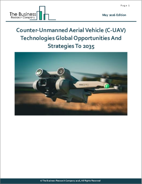 表紙：対無人航空機（C-UAV）技術の世界市場：2035年までの機会と戦略