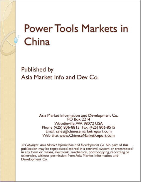 表紙：中国の電動工具市場
