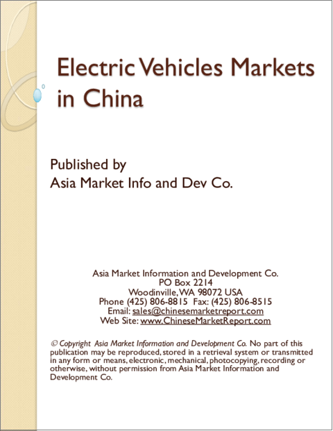 表紙：中国の電気自動車市場