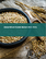 小麦タンパク質の世界市場 2022-2026