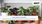 室内観葉植物の世界市場-2022-2029