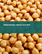 ひよこ豆の世界市場 2023-2027