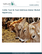 牛用飼料・飼料添加物の世界市場レポート 2024年