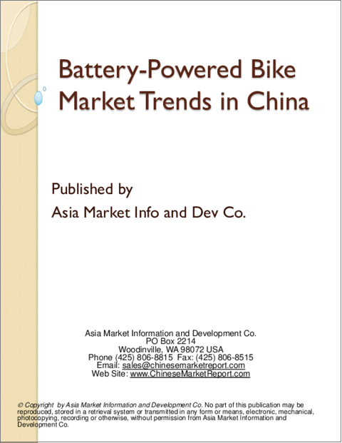 表紙：中国国内のバッテリー式電動自転車市場の動向