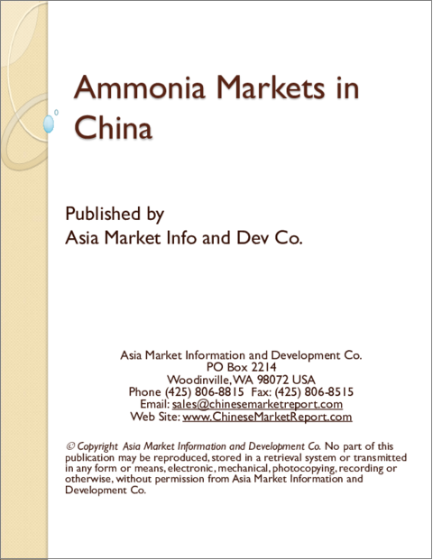 表紙：アンモニアの中国市場