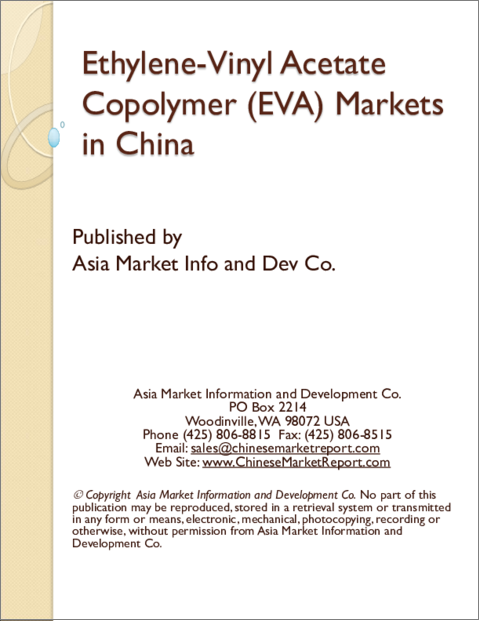 表紙：エチレン酢酸ビニル (EVA) 共重合体の中国市場
