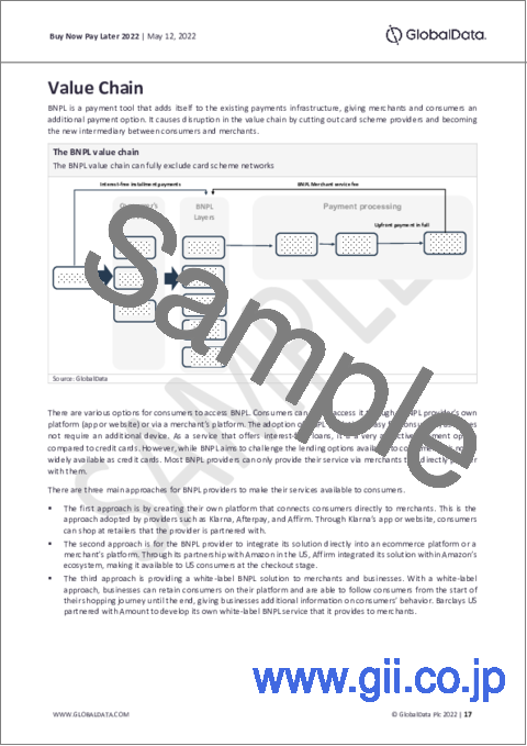 サンプル2：信用販売 (BNPL) - テーマ別分析