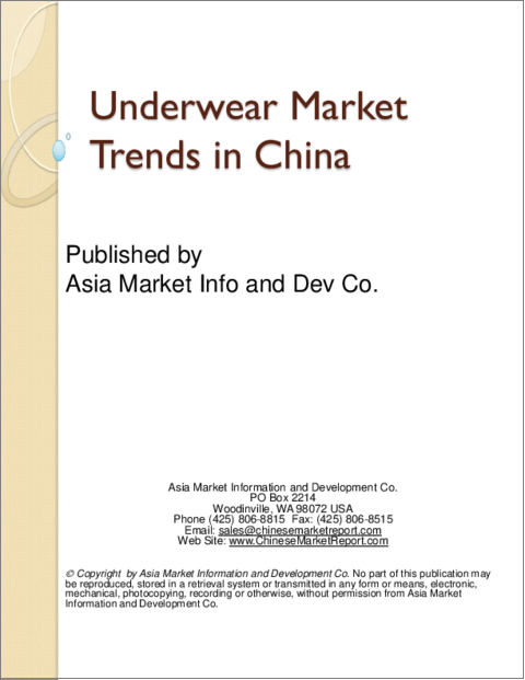 表紙：中国のアンダーウェア（下着・肌着）市場の動向