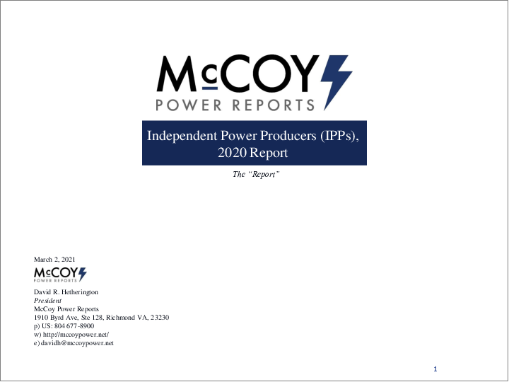 表紙：独立系発電事業者 (IPP)